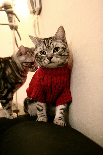 意甲洗牌，传统豪门面临巨大压力，意甲img