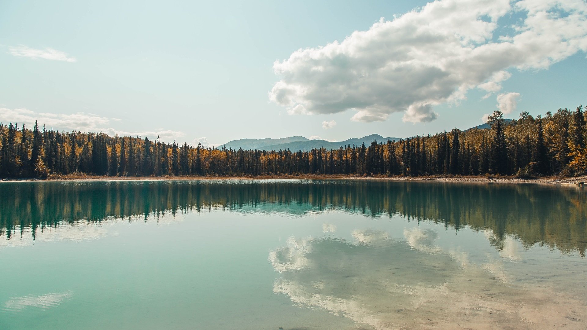 数字化青训“智慧平台”成为行业标配，提升青训国际竞争力，数字青少年宫首页