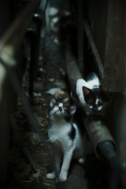 开云中国-_潮流运动搭配：时尚即运动_，时尚运动装