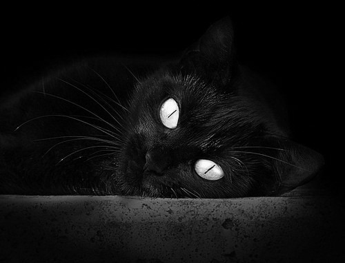 《职业电竞选手的市场价值：年收入破百万不是梦》，职业电竞选手收入排行